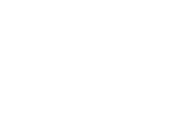 F1_2019_chn_outline